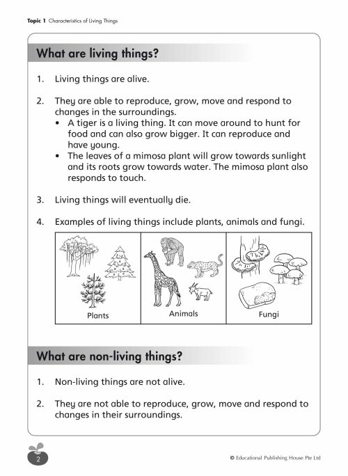 P3 Science Revision Workbook