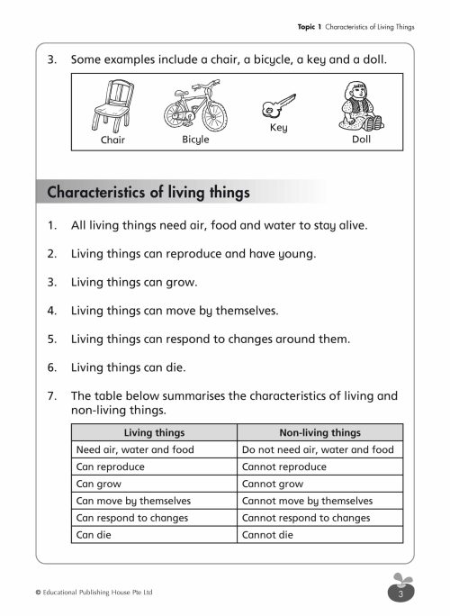 P3 Science Revision Workbook