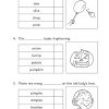 P2 Daily Dose of English