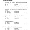 P2 English Weekly Revision