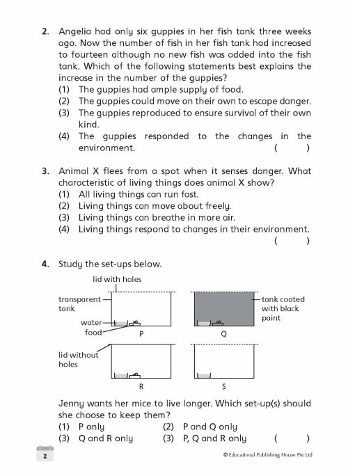 P3 Science Weekly Revision