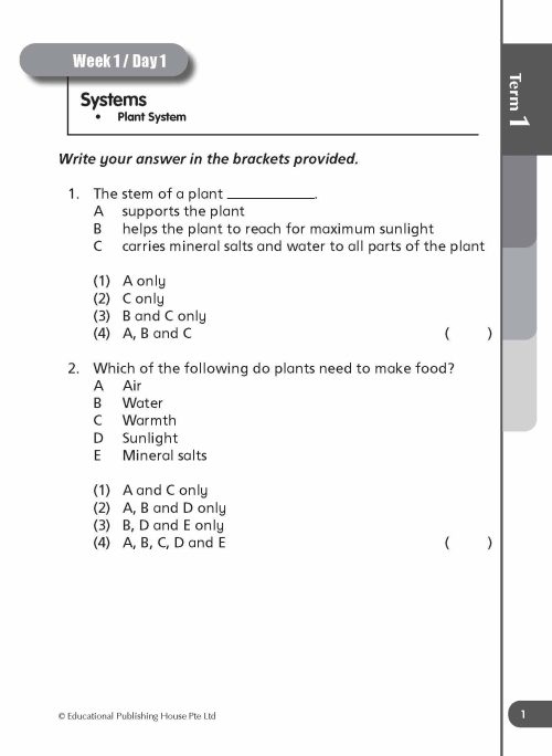P4 Daily Dose of Science