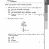 P4 Daily Dose of Science