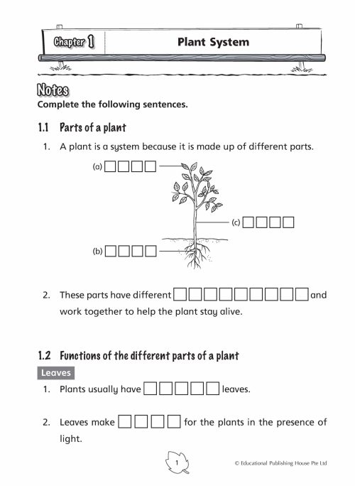 P4 Science Practice 1000+