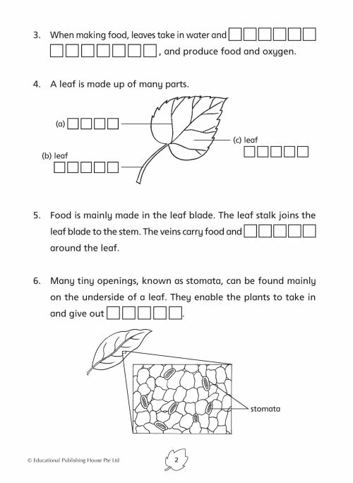 P4 Science Practice 1000+
