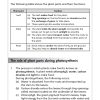 P4 Science Revision Workbook