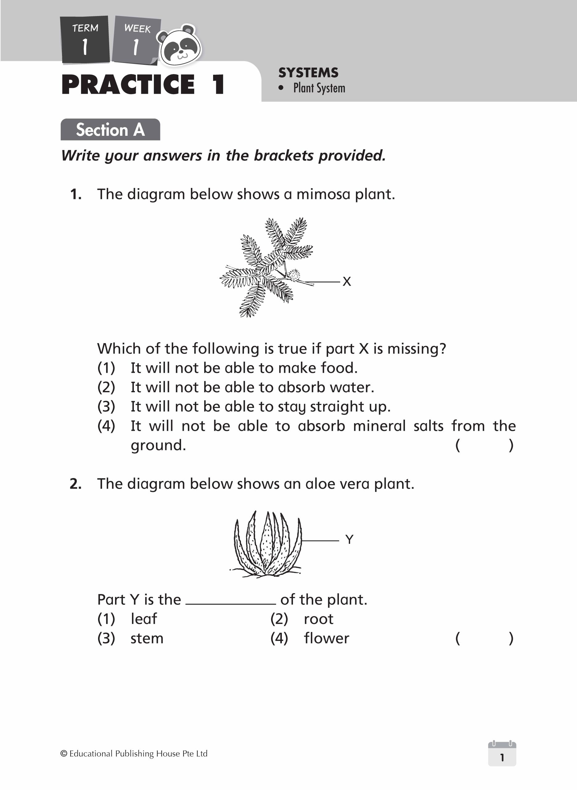 P4 Science Weekly Revision – Singapore Learning Mind