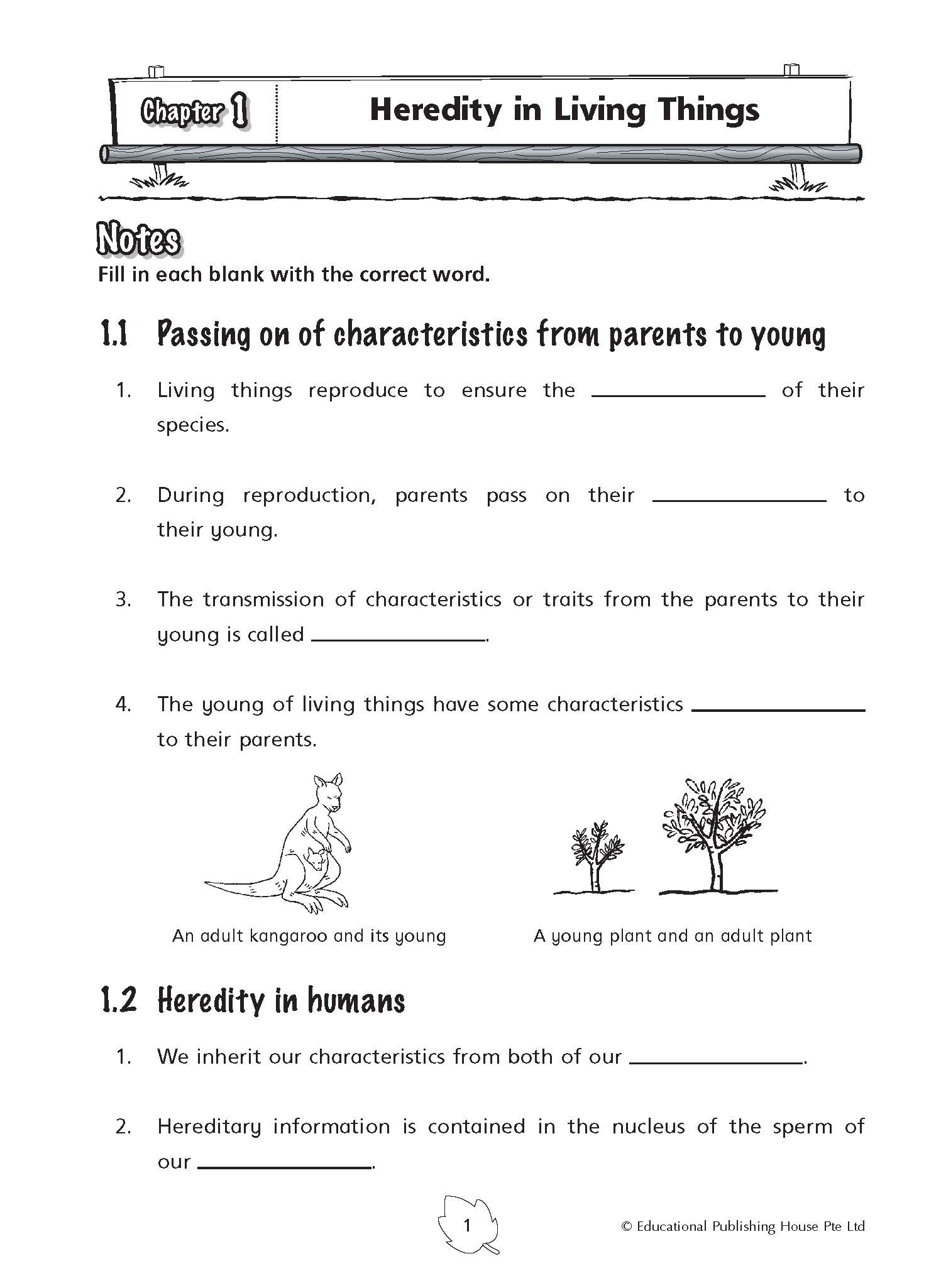 P5 Science Practice 1000+ – Singapore Learning Mind
