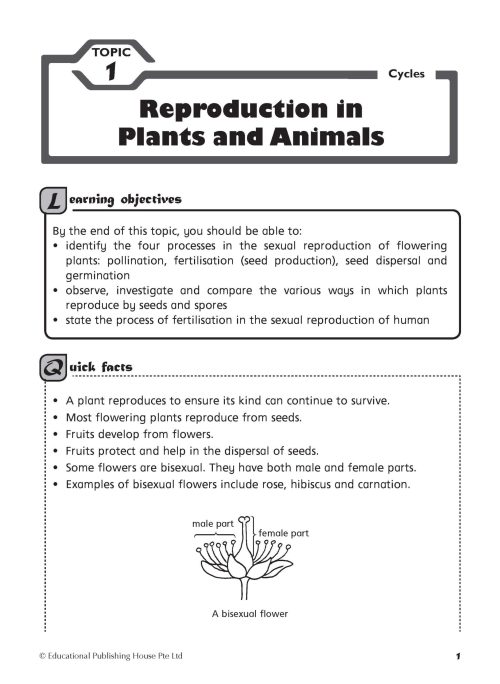 P5/6 Foundation Science Topical Practice Workbook