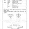 P5/6 Foundation Science Topical Practice Workbook