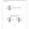P5/6 Foundation Science Topical Practice Workbook