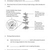P6 Science Practice 1000+
