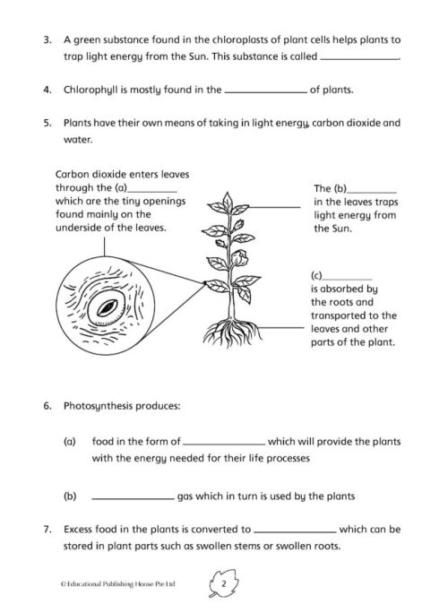 P6 Science Practice 1000+