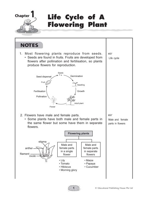 Upper Block 3-in-1 Science